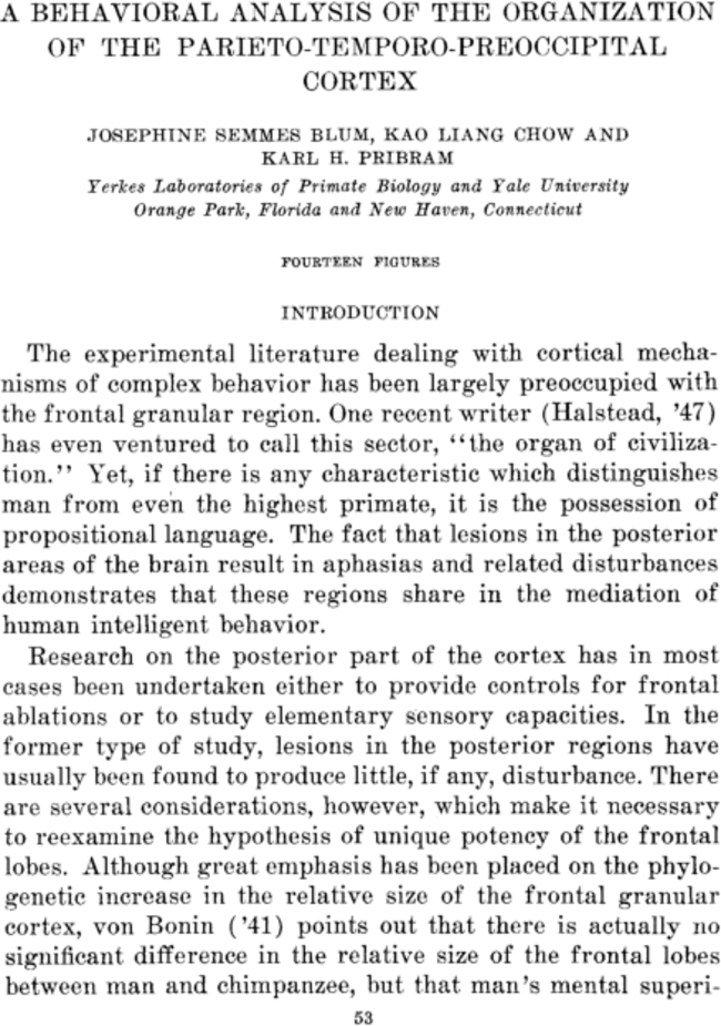 First page image
