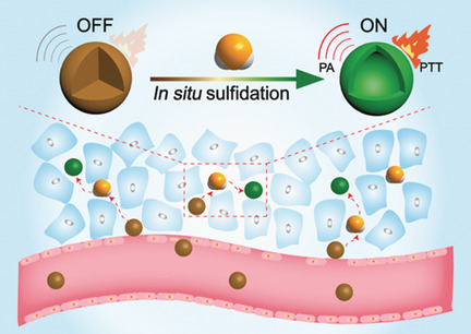 The In Situ Sulfidation of Cu2O by Endogenous H2S for Colon Cancer Theranostics