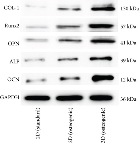 Details are in the caption following the image