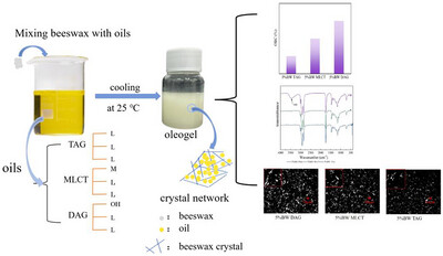 Effect of Different Molecular Compositions of Oils on Beeswax-Based Oleogels