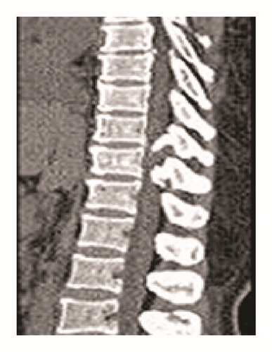 Details are in the caption following the image