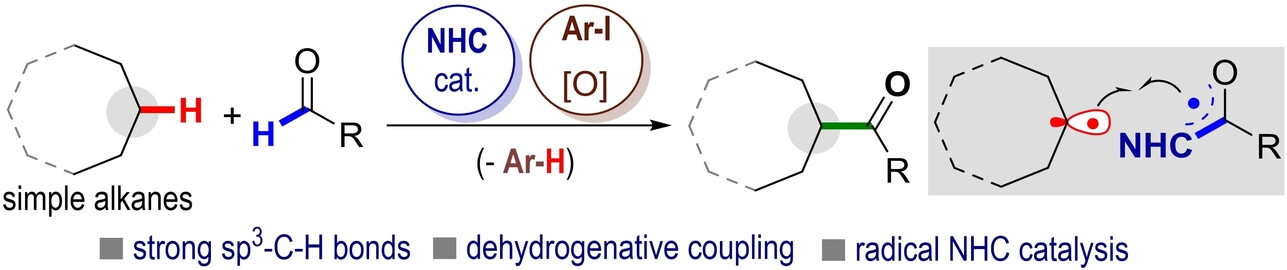 Organocatalytic C−H Functionalization of Simple Alkanes