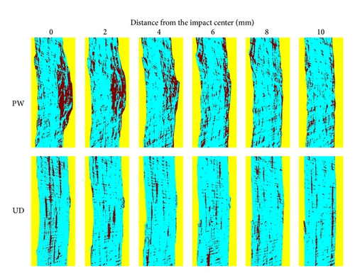 Details are in the caption following the image Details are in the caption following the image