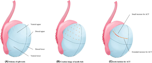 Details are in the caption following the image