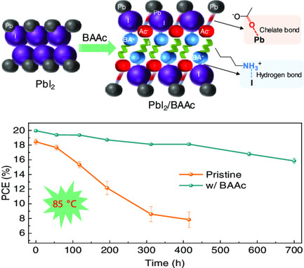 Ionic Liquid-Tuned Crystallization for Stable and Efficient Perovskite Solar Cells