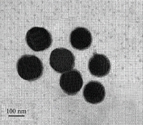 Details are in the caption following the image