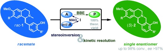Deracemization By Simultaneous Bio-oxidative Kinetic Resolution and Stereoinversion
