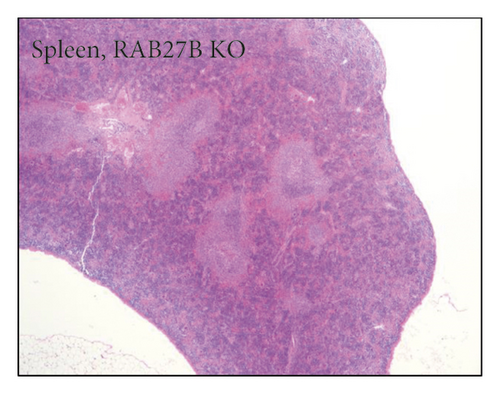 Details are in the caption following the image