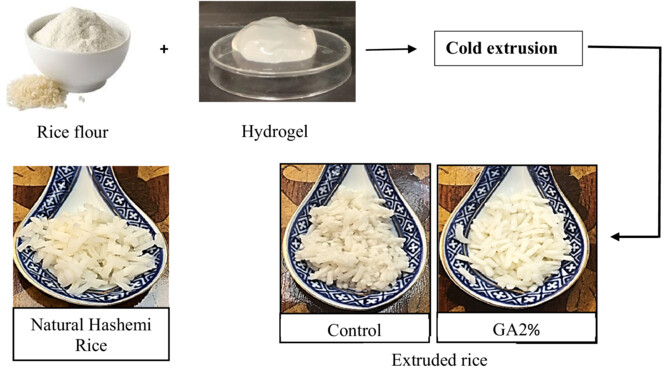 The use of hydrogel structures in production of extruded rice and investigation of its qualitative characteristics