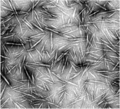 Cellulose nanocrystals and related nanocomposites: Review of some properties and challenges Issue 12, 2014