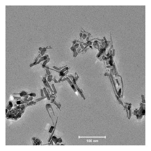 Details are in the caption following the image