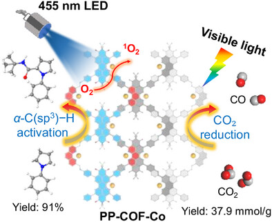 Cobalt-Metalated 1D Perylene Diimide Carbon-Organic Framework for Enhanced Photocatalytic α-C(sp3)─H Activation and CO2 Reduction