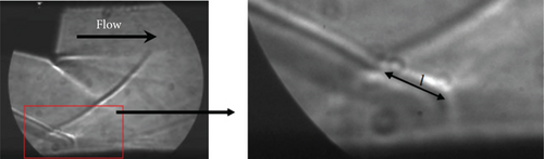 Details are in the caption following the image