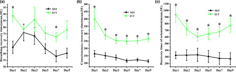 Shorter recovery times and better cognitive function—A comparative pilot study of magnetic seizure therapy and electroconvulsive therapy in patients with depressive episodes