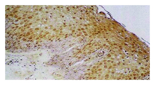 Details are in the caption following the image