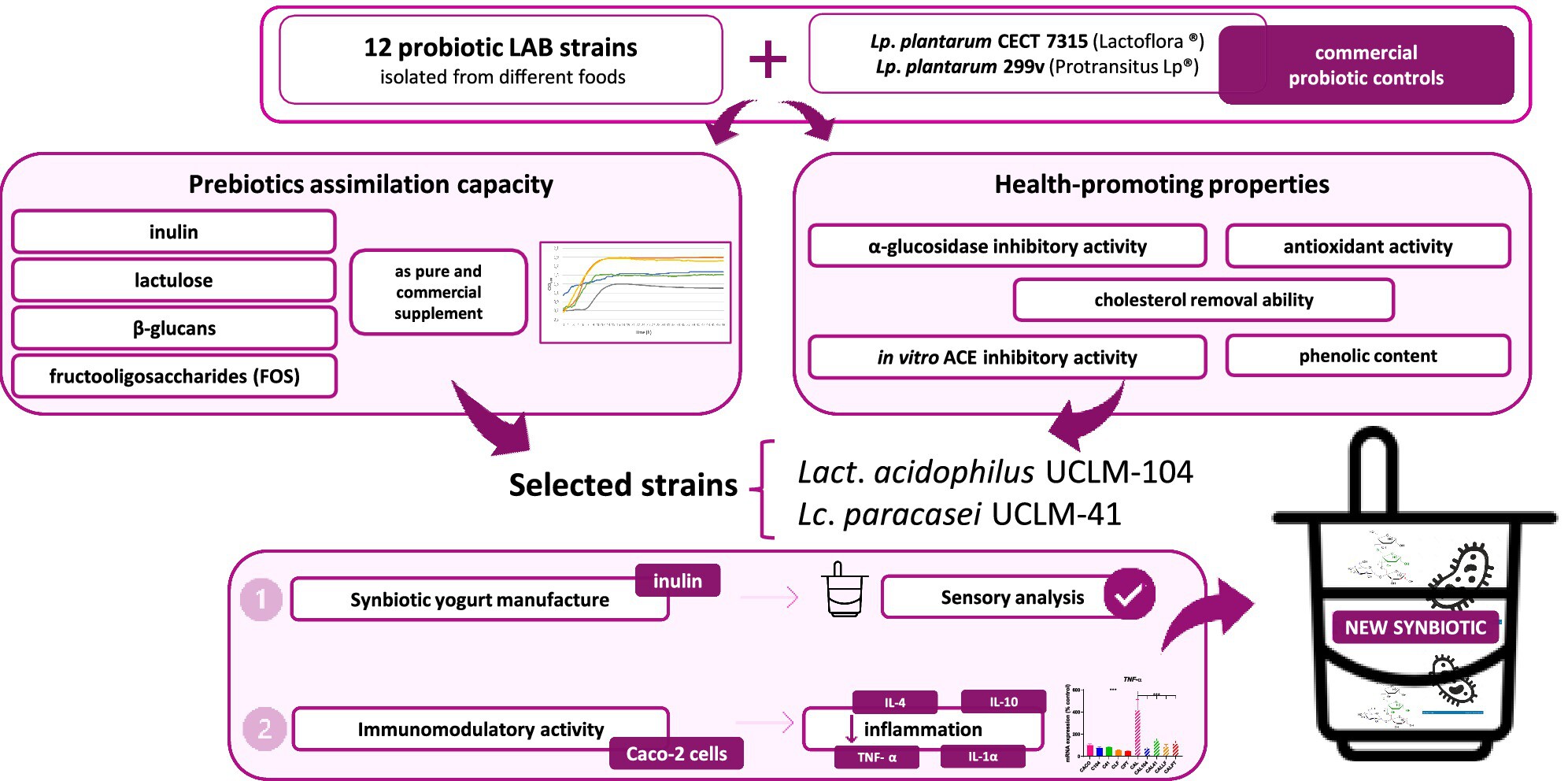 Lactobacillus acidophilus UCLM-104 and Lacticaseibacillus paracasei UCLM-41 Are Promising Candidates to Produce Synbiotic Yogurt
