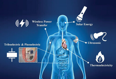 A Current Development of Energy Harvesting Systems for Energy-Independent Bioimplantable Biosensors