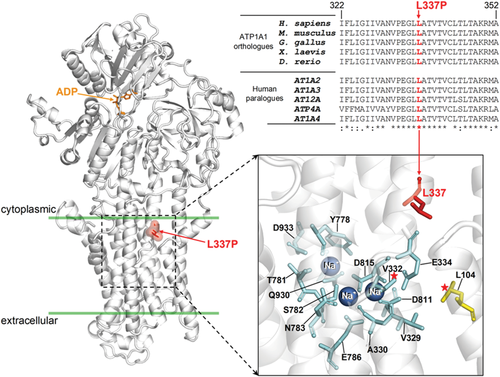 Details are in the caption following the image Details are in the caption following the image