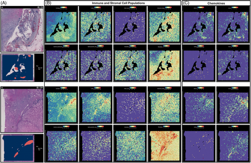 Details are in the caption following the image Details are in the caption following the image