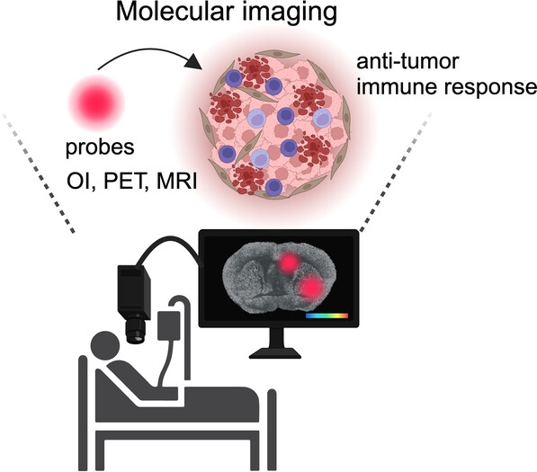 Recent Advances in the Development of Non-Invasive Imaging Probes for Cancer Immunotherapy