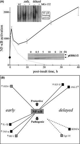 Details are in the caption following the image