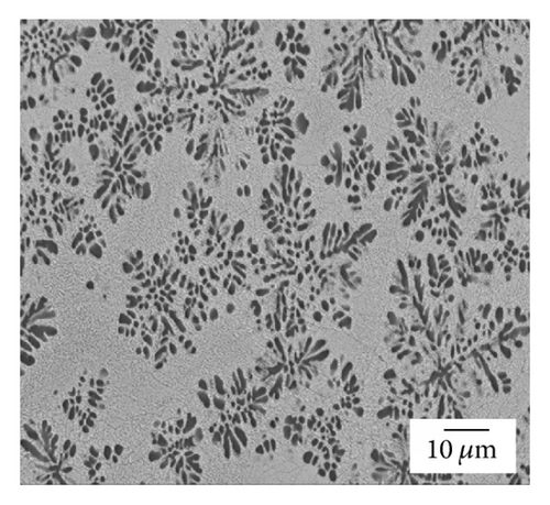 Details are in the caption following the image