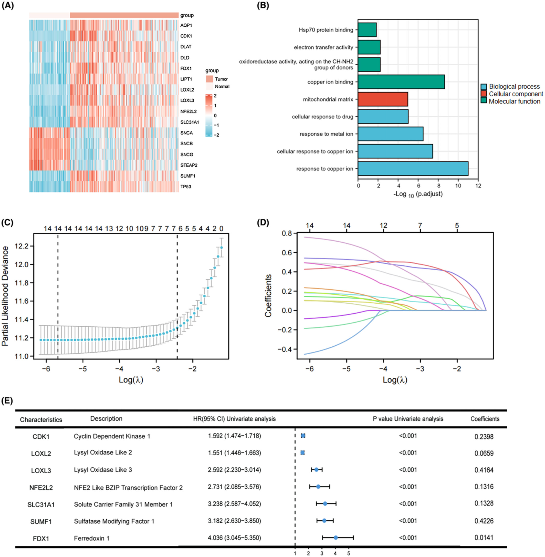 Identification of a copper metabolism-related gene signature for predicting prognosis and immune response in glioma