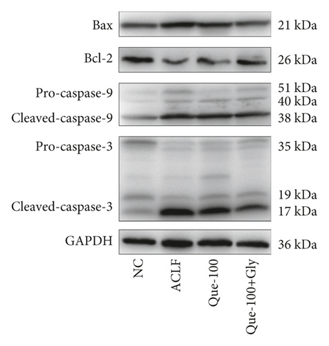 Details are in the caption following the image