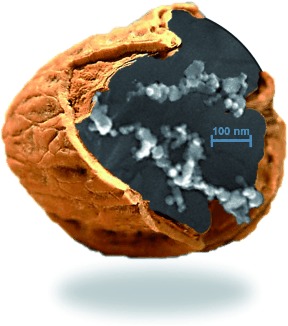 The Many Faces of Soot: Characterization of Soot Nanoparticles Produced by Engines