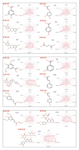 Details are in the caption following the image Details are in the caption following the image