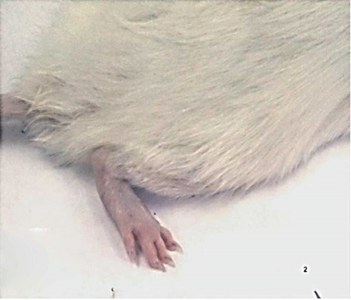 Details are in the caption following the image