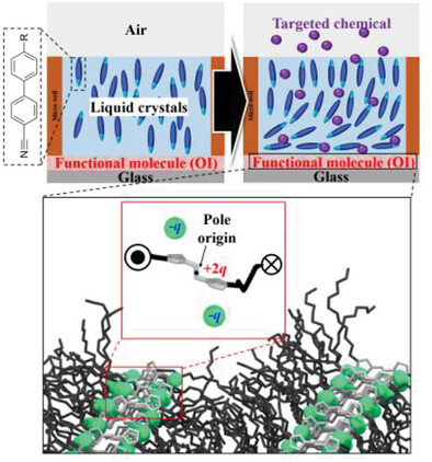 Tailoring of Selective Chemo-Responsiveness in Liquid Crystals via Organic Ionic Plastic Crystals