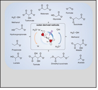 Ionized Water Facilitates the Sustainable Radical-Mediated Reduction of CO2 to Multi-Carbon Hydrocarbons and Oxygenates
