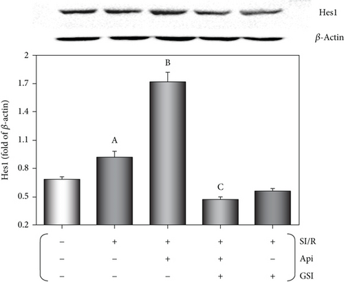 Details are in the caption following the image