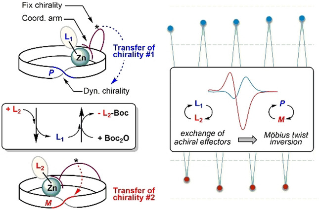 Möbius ZnII-Hexaphyrins Bearing a Chiral Coordinating Arm: A Chiroptical Switch Featuring P/M Twist Inversion Controlled by Achiral Effectors