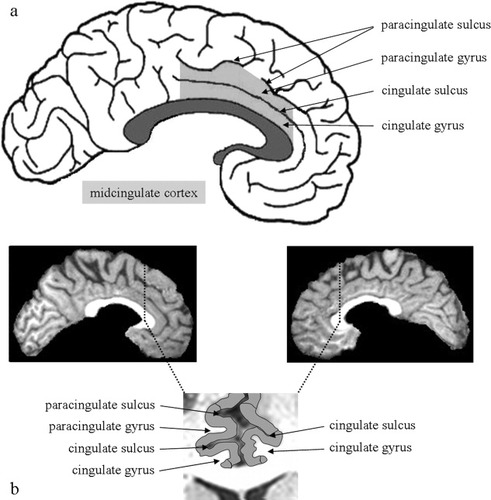 Details are in the caption following the image