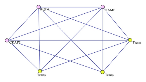 Details are in the caption following the image Details are in the caption following the image