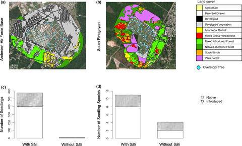 Functional robustness of seed dispersal by a remnant frugivore population on a defaunated tropical island