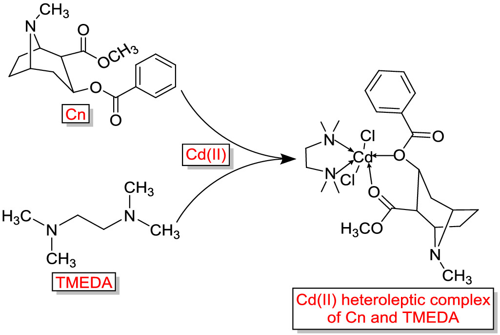 Synthesis, structural characterization, density functional theory calculations, and antimicrobial, anticancer, and antimetastatic properties of nanosized heteroleptic complexes of cocaine/TMEDA with d-block metal ions