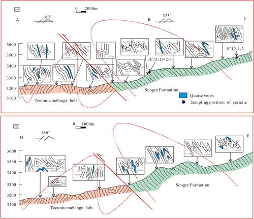 Details are in the caption following the image Details are in the caption following the image