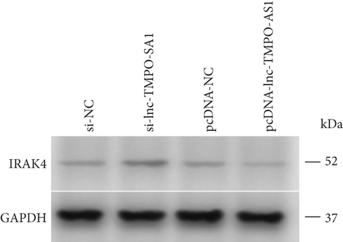 Details are in the caption following the image