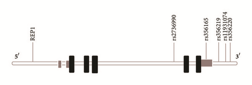 Details are in the caption following the image
