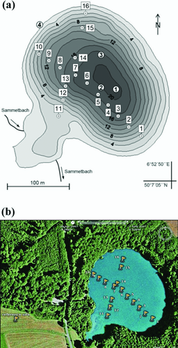 Details are in the caption following the image Details are in the caption following the image