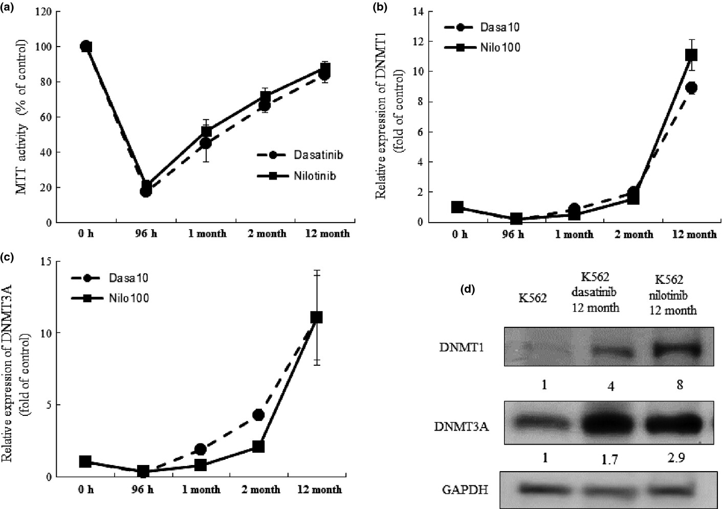 Downregulation of miR-217 correlates with resistance of ph+ leukemia cells to ABL tyrosine kinase inhibitors