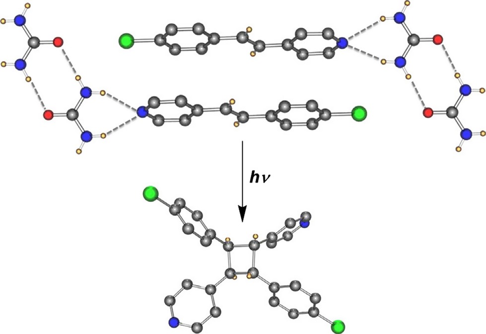 Comparison of Templating Abilities of Urea and Thioruea During Photodimerization of Bipyridylethyelene and Stilbazole Crystals