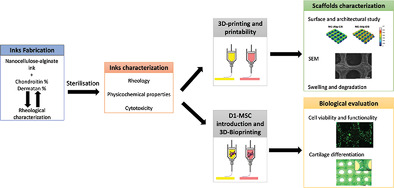 Chondroitin and Dermatan Sulfate Bioinks for 3D Bioprinting and Cartilage Regeneration