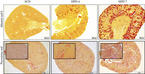 Details are in the caption following the image Details are in the caption following the image