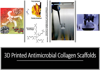Synthesis and Incorporation of Quaternary Ammonium Silane Antimicrobial into Self-Crosslinked Type I Collagen Scaffold: A Hybrid Formulation for 3D Printing