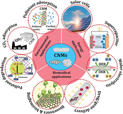 Polymer Waste Valorization into Advanced Carbon Nanomaterials for Potential Energy and Environment Applications