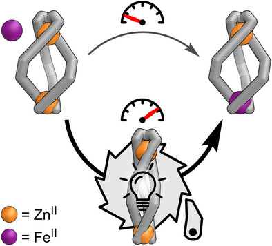 Light-Driven Ratchet Mechanism Accelerates Regioselective Metal-Cation Exchange in a Heterobimetallic Helicate